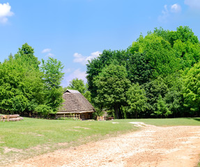 Building of the wooden house in wood
