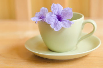 Wild violet flower in green cup