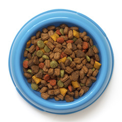 Dry cat food in blue bowl isolated on white from above.