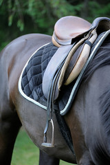 A saddle on the horse