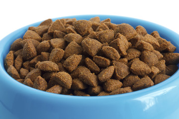 Dry cat food in blue bowl, detail on white.