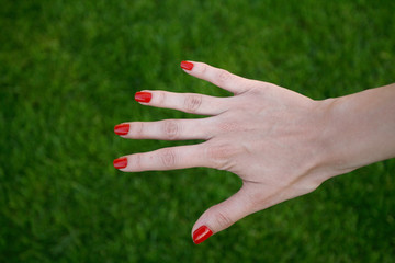 woman's hand with red varnish and green grass