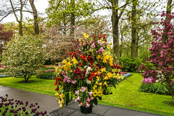 Fototapeta na wymiar Lilly spring flower bouquet in park Keukenhof - garden, Holland