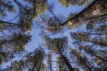 Paseo al atardecer por la playa del Médano, en Tenerife, Islas Canarias