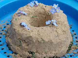 Geburtstagskuchen aus Sand mit Vergissmeinnicht