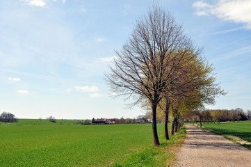 Obraz premium Vor Lampertswalde