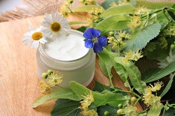 Obraz na płótnie Canvas jar of white facial herbal cream fresh blossom chamomile linden herbs