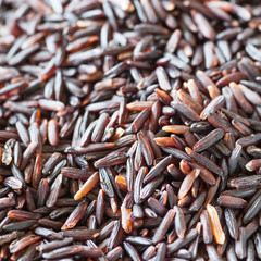 Close - up Healthy food uncooked brown rice