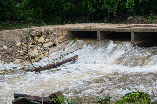 Tree going downstream in flood waters.