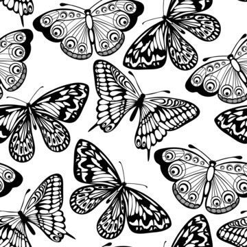 Beautiful seamless background of butterflies black and white colors