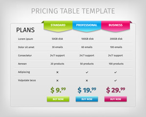 Colorful web pricing table template for business plan.