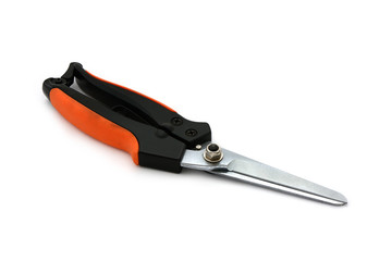 Gartenschere freigestellt