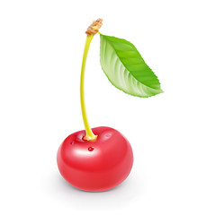 Cherry berry with leaf isolated on white background. Vector illustration