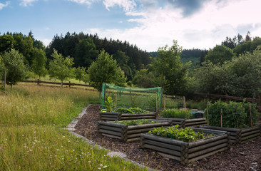 wooden beds with vegetable in the organized garden with orchard and meadow