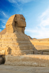 Fototapeta na wymiar Sphinx