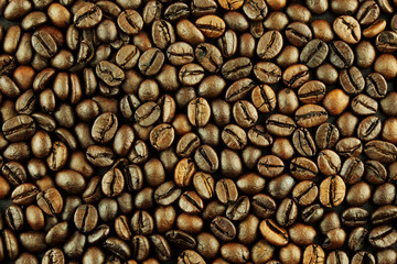 coffee beans background texture