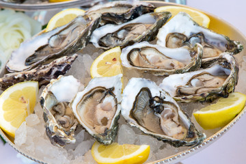 ostriche adagiate su ghiaccio in vassoio e spicchi di limone