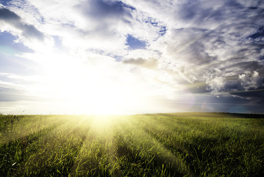 field and sunset sky