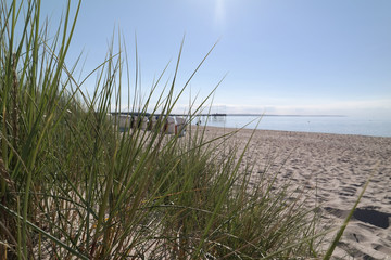 Düne am Meer 