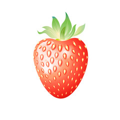 Delicious wild berry strawberry