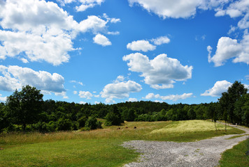blue sky with clouds, countryside