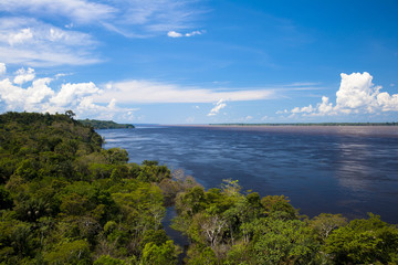 Fototapeta na wymiar アマゾン川と河岸のジャングル
