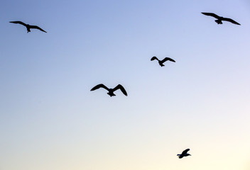 Fototapeta premium Painted pottery traditional turkey markets dish bowls