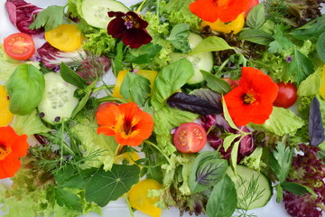 Salat mit Kräutern und Kapuzinerkresse