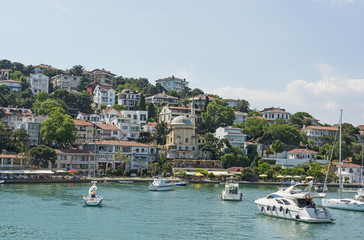 Fototapeta premium Rural coastal hillside with luxury housing