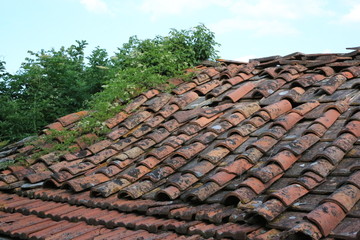 Forte dei Marmi, Toscana, Versilia, Italien, Riviera, Mittelmeer, Versiliana, Meer, Strand, 