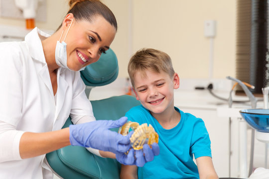 dentist showing little patient teeth model