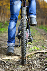 Tire protector of mountain bike wheel in autumn forest, closeup 