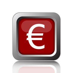 Euro icon