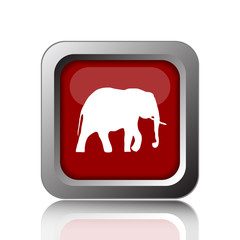 Elephant icon