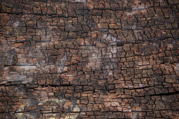 wall wood texture background