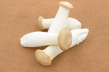 King oyster mushroom or eryngii mushroom