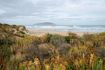 Péninsule de Wilson