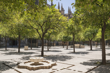 Seville cathedral cloister. Seville (Spain)
