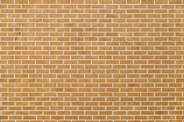 Orange brick wall as background.
