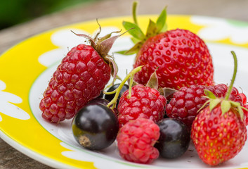 Fresh summer berries on the plate in the garden