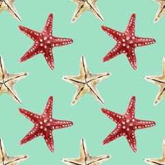 Seamless pattern with sea-shells. Watercolor illustration. 