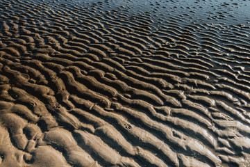 Nordseestrand bei Ebbe