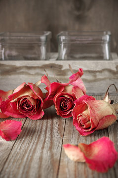 Dried roses on wood