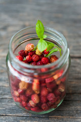 Wild strawberries