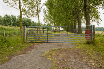 Gates and fences in a rural landscape