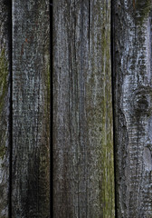 Wood texture