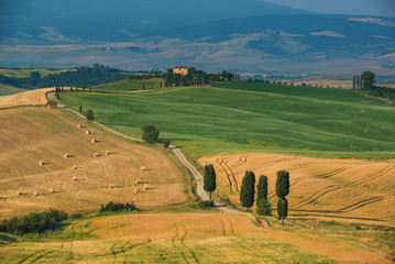 Fototapeta na wymiar Beautiful spring and summer landscape with a golden Tuscany