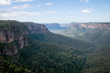 Fototapeta premium Les montagnes Bleues en Nouvelle-Galles