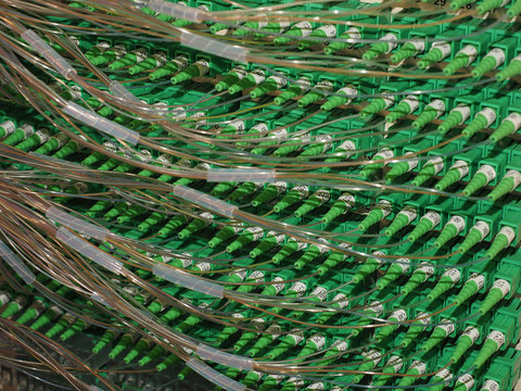 Fiber Optic Connectors in the back of a 576f Distribution Hub Panel connecting homes to Broad Band Services in an fiber to the Home Network, Melbourne, Australia, 2015 February 12