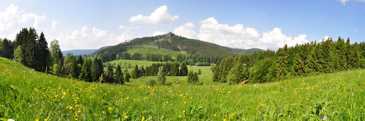 Panoramafoto Kanzlersgrund / Thüringer Wald - obrazy, fototapety, plakaty
